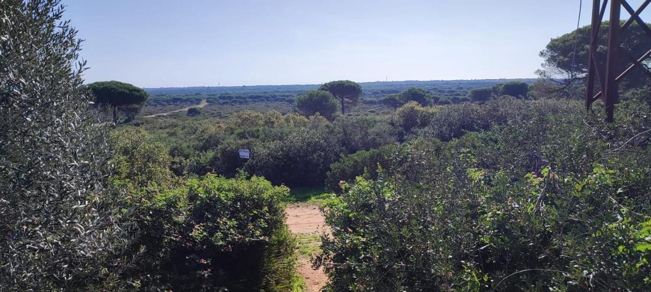 Casa En Loma Sancti Petri A 900 M De La Playa De La Barrosa Villa Chiclana de la Frontera Buitenkant foto